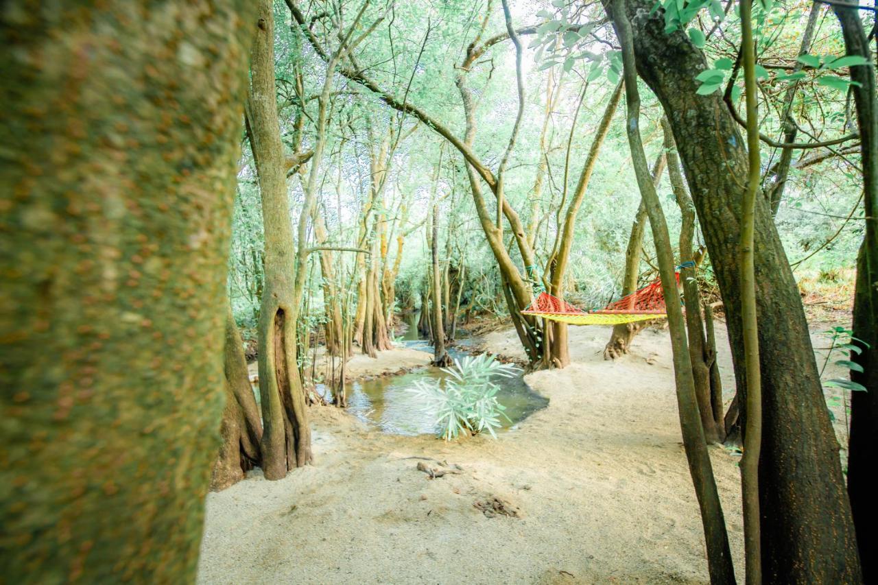 Kayjay Wild Wilpattu Hotel Luaran gambar