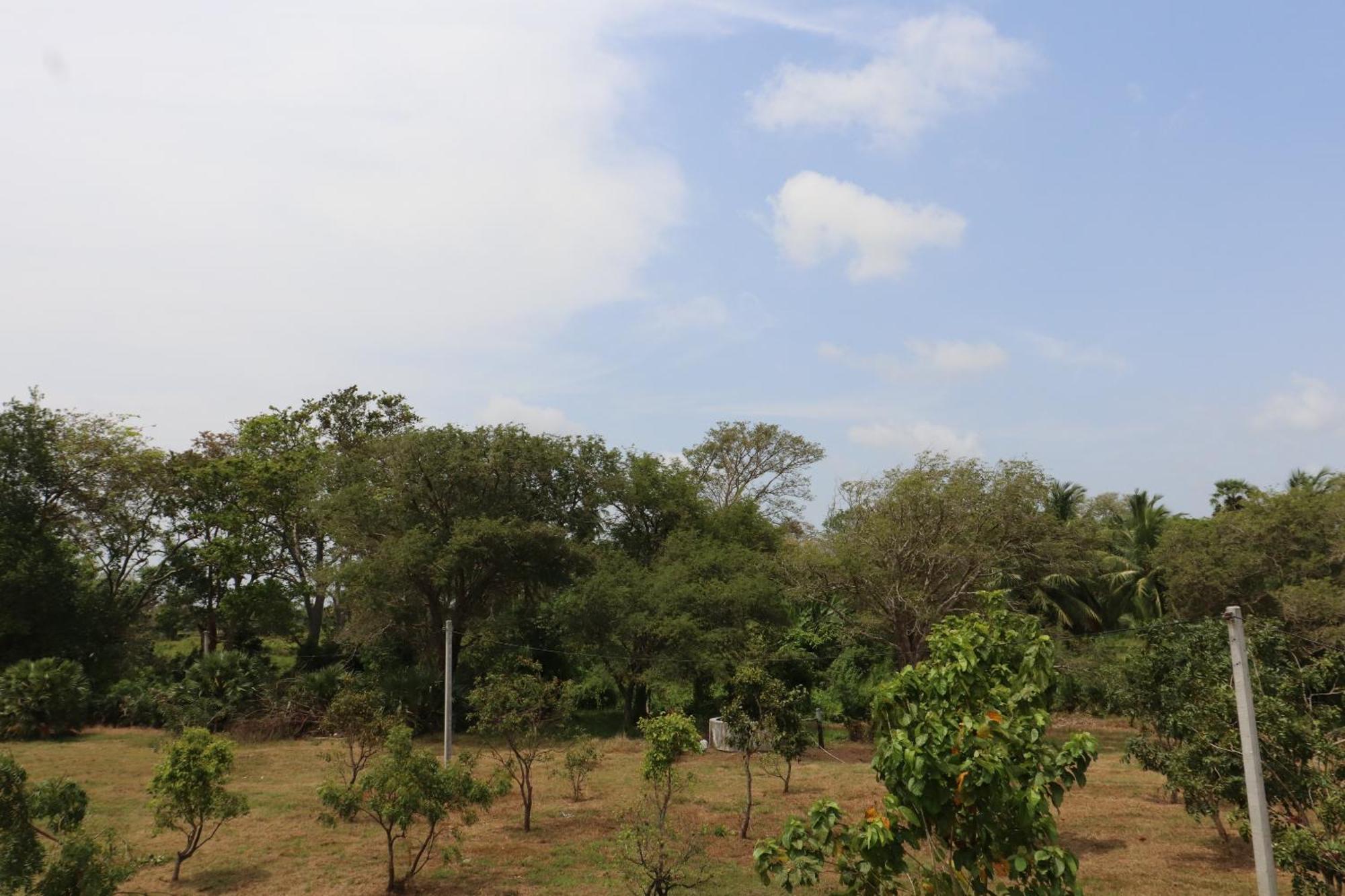 Kayjay Wild Wilpattu Hotel Luaran gambar