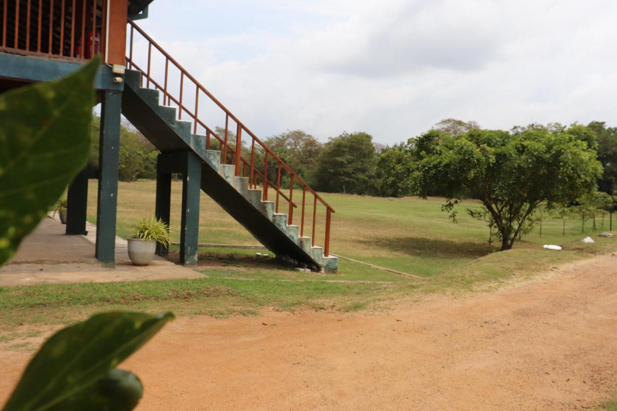 Kayjay Wild Wilpattu Hotel Luaran gambar