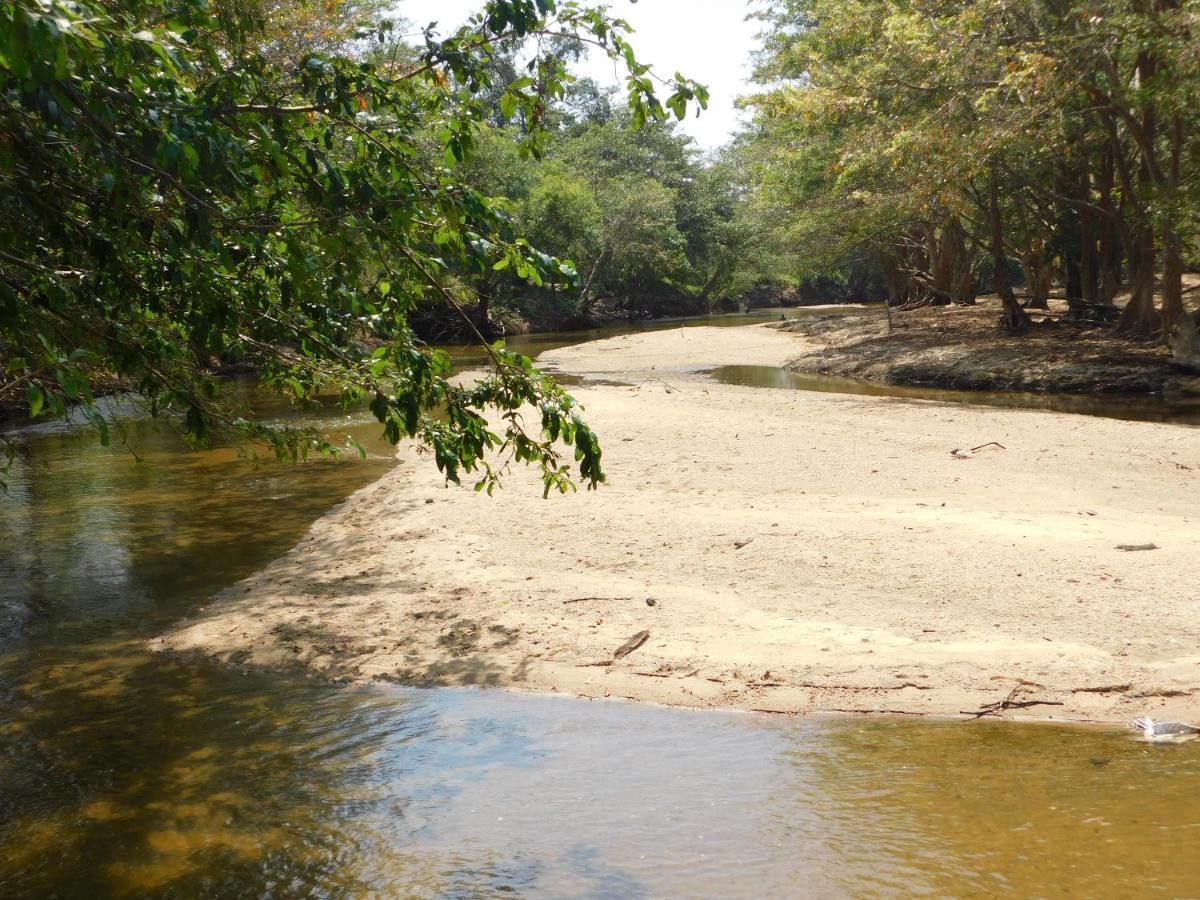Kayjay Wild Wilpattu Hotel Luaran gambar